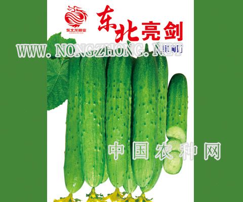 东北亮剑